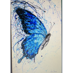 my butterflys!