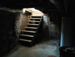 Zays Basement