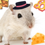 Ally way rats