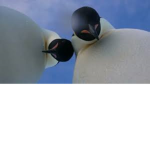 I am looking DOWN at you