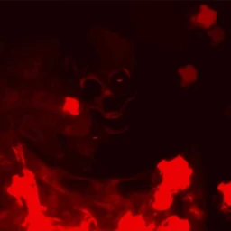 Fh Monsters Showcase icon
