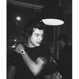 Harry Styles
