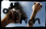 The Animal Safari Plains