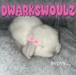 Group Thumbnail