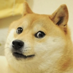 The Doge Brethren