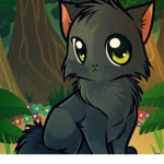 Cutie Kitties!