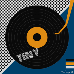 TinyRecords™ Studio