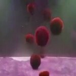 CartRide into level 99999