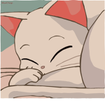 Kitty group for kitty’s