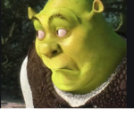 BTS shrek meal 20$