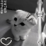 /soblushingrn Group Thumbnail