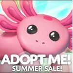 Adopt Me Obsessed