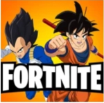 nikeschoolhave