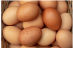 Clan of eggs :)