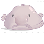 Blob Fish Cult