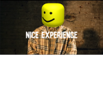 NICE EXPERIENCE