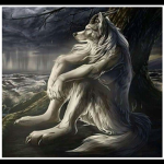 Lobos solitarios.