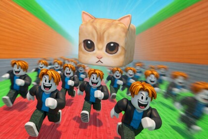 Gatito tarafından ezilmeyin