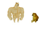 MEMER$