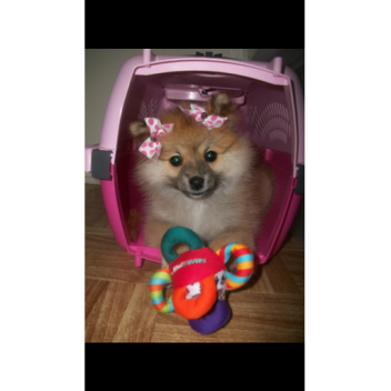 Survive ure nightmares!