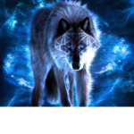 Banna wolf Studio