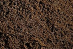 We eat dirt.