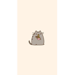 Pusheen and Kawaii Stuffz