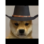 Rusty group dog