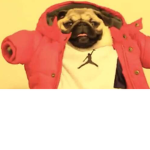 Clothing store from puggy wuggy and woof