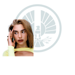 The Panem Collective
