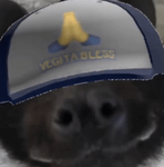 Vegita Bless