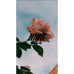 oo0Aesthetic Clothing0oo