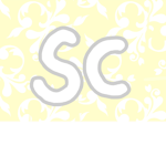 -salty clothing-