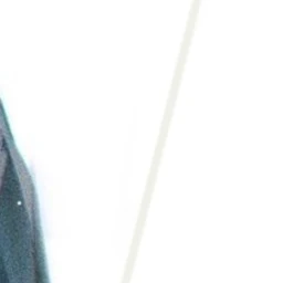 ✧ icon