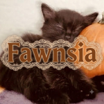fawnsia