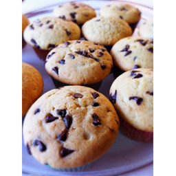 Muffin Moutain Cafe Interview Plaza