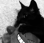 ᰔ Bat