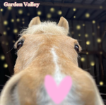 Garden Valley
