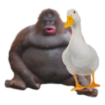 DUCK LOVES MONKE