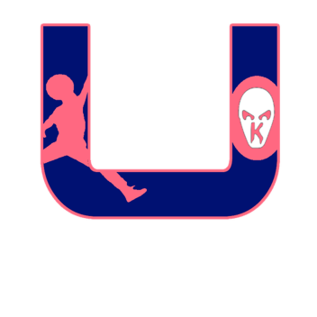 THE UNLIMITED HOME STORE