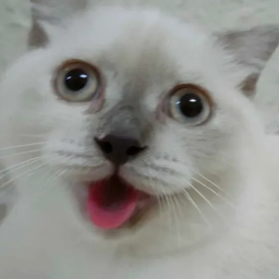 hieeeeeeeeee