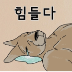 미오이 그룹