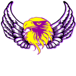 Falcon Rebellion