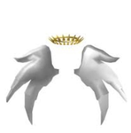 Official SFOC Group