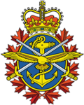 canadian assault team