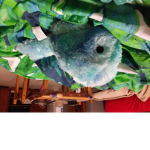 Birdsarecool