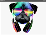 The headphone dog group