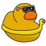 Floatie Duck