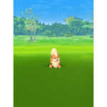 pokémon group for pokémon fans