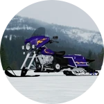 Cboys Harley Timbersled